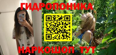 крисы Канаш