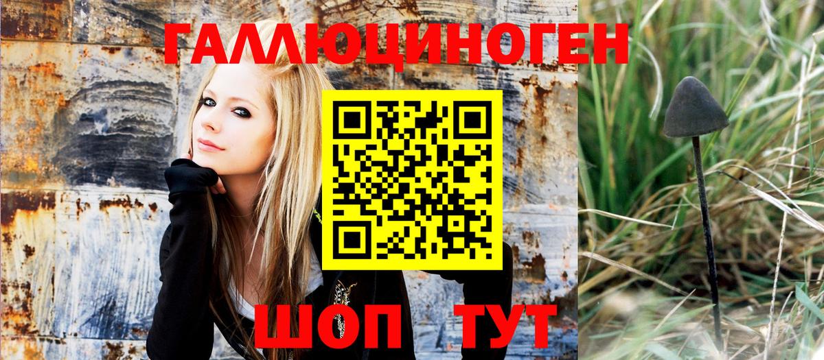 Краснознаменск  Псилоцибиновые грибы MAGIC MUSHROOMS  Вход с VPN 