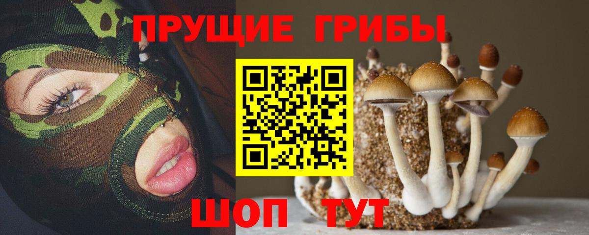 Псилоцибиновые грибы ЛСД Краснознаменск